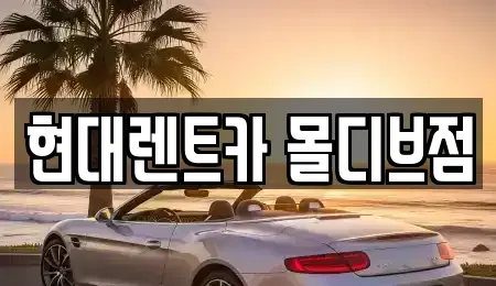 세종 고운동 장기렌트카 전문 현대렌트카 몰디브점