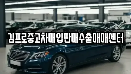 세종 고운동 중고차매매 전문 김프로중고차매입판매수출매매센터