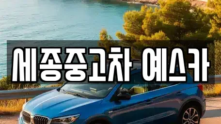 세종 고운동 중고차매매 전문 세종중고차 예스카