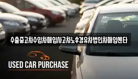 세종 고운동 중고차매매 전문 수출중고차수입차매입사고차노후경유차법인차매입센타