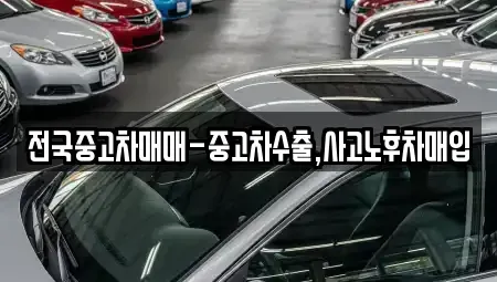 세종 고운동 중고차매매 전문 전국중고차매매-중고차수출,사고노후차매입