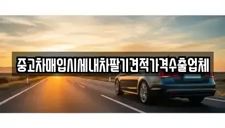 세종 고운동 중고차매입 전문 중고차매입시세내차팔기견적가격수출업체