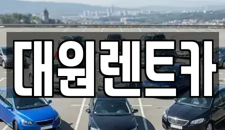 세종특별자치시 나성동 렌트카 전문 대원렌트카