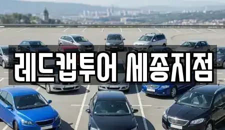 세종특별자치시 나성동 장기렌트카 전문 레드캡투어 세종지점