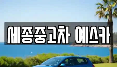 세종특별자치시 나성동 중고차매매 전문 세종중고차 예스카