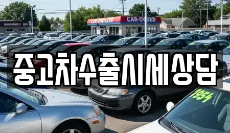 세종특별자치시 나성동 중고차매매 전문 중고차수출시세상담