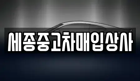 세종특별자치시 나성동 단기렌트카,중고차매입,중고차매매,중고차,렌트카,장기렌트카