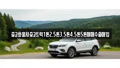 세종특별자치시 나성동 중고차매입 전문 중고화물차중고트럭1톤2.5톤3.5톤4.5톤5톤매매수출매입