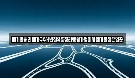 세종특별자치시 나성동 중고차매입 전문 폐기물처리폐가구수거빈집유품정리생활가정이사폐기물젊은일꾼