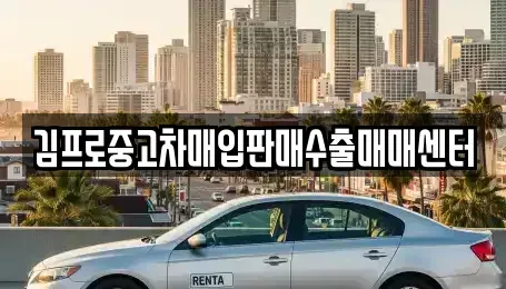울산광역시 남구 신정동 중고차 전문 김프로중고차매입판매수출매매센터