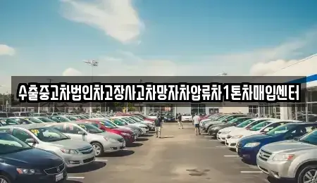 울산광역시 남구 신정동 중고차 전문 수출중고차법인차고장사고차망자차압류차1톤차매입센터