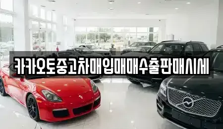 인천 중구 운남동 중고차 전문 카카오토중고차매입매매수출판매시세