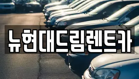 인천광역시 서구 대곡동 렌트카 전문 뉴현대드림렌트카