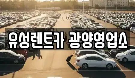 전남 광양시 옥룡면 렌트카 전문 유성렌트카 광양영업소