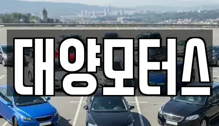 전남 광양시 옥룡면 중고차매매 전문 대양모터스