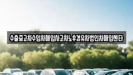 전남 광양시 옥룡면 중고차매입 전문 수출중고차수입차매입사고차노후경유차법인차매입센타