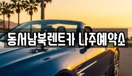 전남 나주시 금천면 렌트카 전문 동서남북렌트카 나주예약소