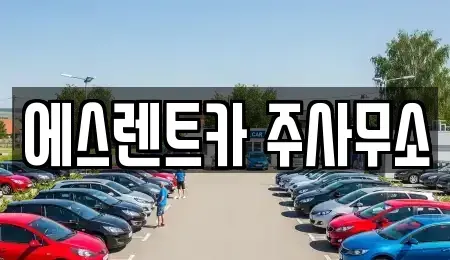 전남 나주시 금천면 렌트카 전문 에스렌트카 주사무소