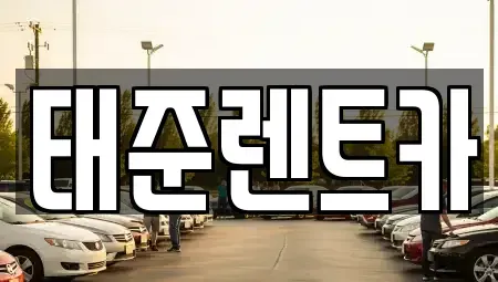 전남 나주시 금천면 렌트카 전문 태준렌트카