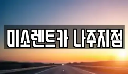 전남 나주시 빛가람동 렌트카 전문 미소렌트카 나주지점