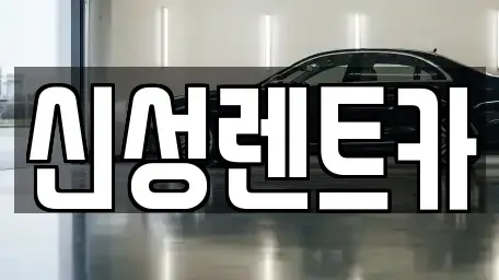 전남 나주시 빛가람동 렌트카 전문 신성렌트카