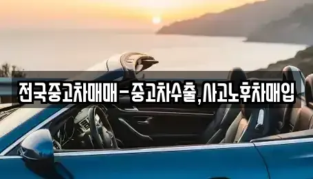 전남 목포시 서산동 중고차매입 전문 전국중고차매매-중고차수출,사고노후차매입