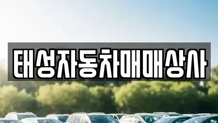 전남 순천시 저전동 중고차매매 전문 태성자동차매매상사