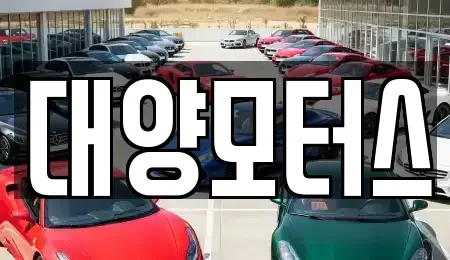 전남 여수시 충무동 중고차 전문 대양모터스