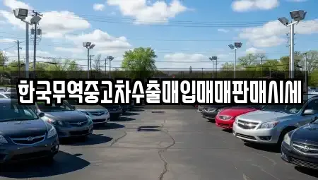 전남 진도군 진도읍 중고차 전문 한국무역중고차수출매입매매판매시세