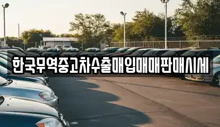 전라남도 강진군 강진읍 중고차 전문 한국무역중고차수출매입매매판매시세