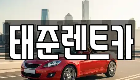 전라남도 나주시 빛가람동 렌트카 전문 태준렌트카
