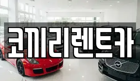 전라남도 완도군 렌트카 전문 코끼리렌트카