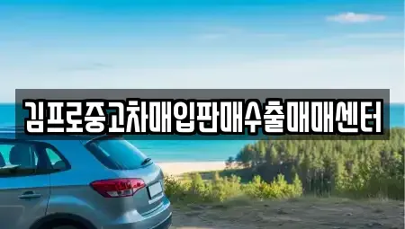 전라남도 완도군 단기렌트카,중고차매입,중고차매매,중고차,렌트카,장기렌트카