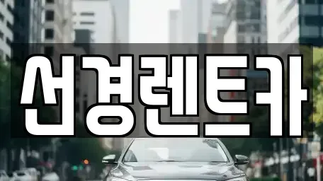 전라남도 진도군 의신면 렌트카 전문 선경렌트카