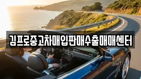 전라남도 진도군 의신면 중고차매매 전문 김프로중고차매입판매수출매매센터