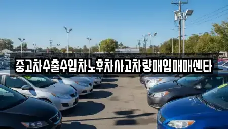 전라남도 진도군 의신면 중고차매매 전문 중고차수출수입차노후차사고차량매입매매센타