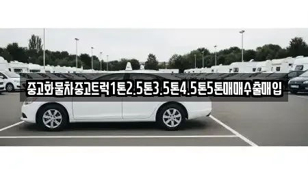 전라남도 진도군 의신면 중고차매매,단기렌트카,중고차매입,장기렌트카,중고차,렌트카