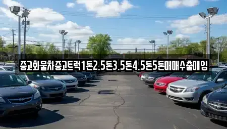 전북특별자치도 군산시 신영동 중고차매매 전문 중고화물차중고트럭1톤2.5톤3.5톤4.5톤5톤매매수출매입