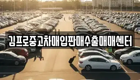 전북특별자치도 남원시 어현동 중고차매입 전문 김프로중고차매입판매수출매매센터