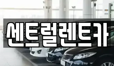 전북특별자치도 익산시 신용동 렌트카 전문 센트럴렌트카