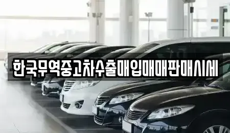 전북특별자치도 익산시 신용동 중고차매매 전문 한국무역중고차수출매입매매판매시세
