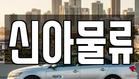 전북특별자치도 익산시 왕궁면 중고차매매 전문 신아물류