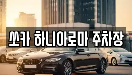 제주 서귀포시 남원읍 렌트카 전문 쏘카 하니아로마 주차장