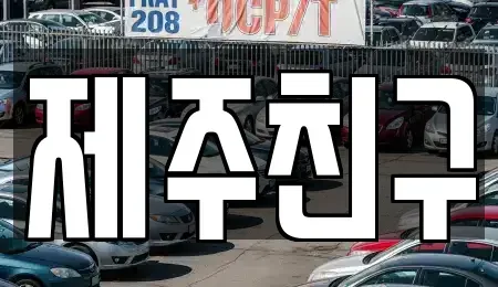 제주 서귀포시 남원읍 렌트카 전문 제주친구