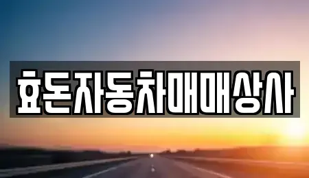 제주 서귀포시 남원읍 중고차매매 전문 효돈자동차매매상사