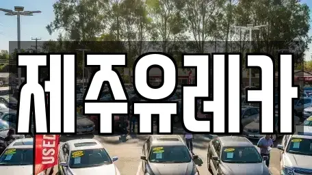 제주 제주시 용담삼동 렌트카 전문 제주유레카