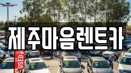 제주 제주시 용담삼동 장기렌트카 전문 제주마음렌트카