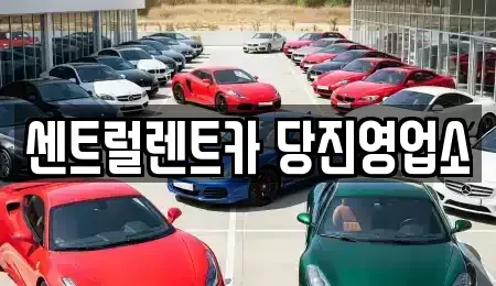 충남 당진시 원당동 장기렌트카 전문 센트럴렌트카 당진영업소