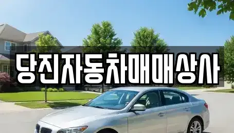 충남 당진시 원당동 중고차 전문 당진자동차매매상사