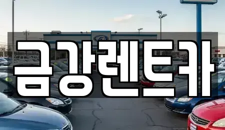 충남 서산시 갈산동 렌트카 전문 금강렌트카